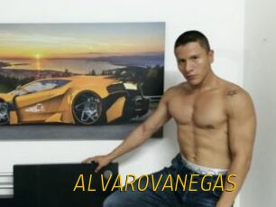 ALVAROVANEGAS