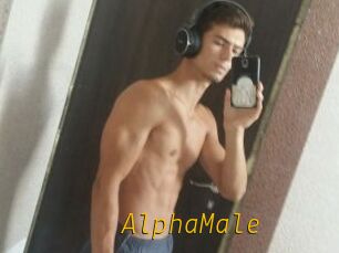 AlphaMale