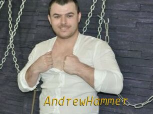 AndrewHammer