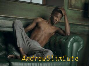 AndrewSlimCute