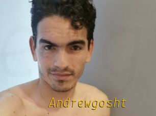 Andrewgosht