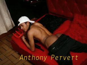 Anthony_Pervert