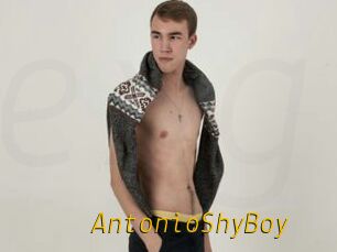 AntonioShyBoy