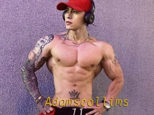 Adamscollims