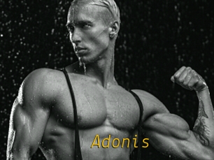 Adonis