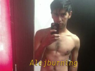 Alejburning