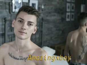 Amazingxboy