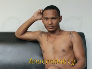 Anacondabig