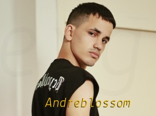 Andreblossom