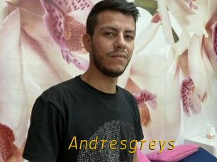 Andresgreys