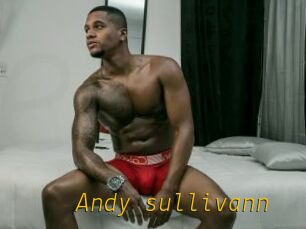 Andy_sullivann