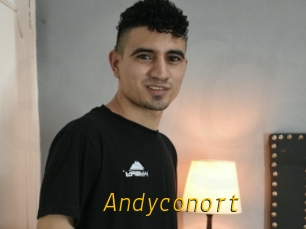 Andyconort