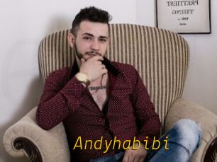 Andyhabibi