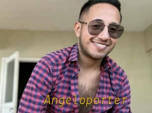 Angeloporter