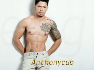 Anthonycub