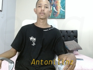 Antonilinz