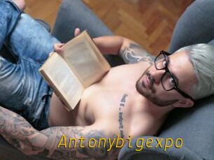 Antonybigexpo