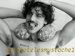 Aristotelesmustache18