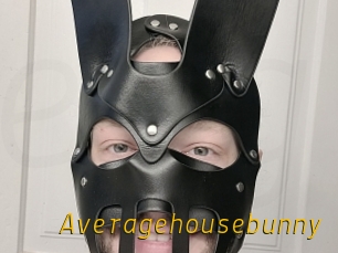 Averagehousebunny