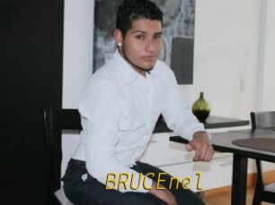 BRUCEnel