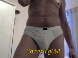 BarepigOWL