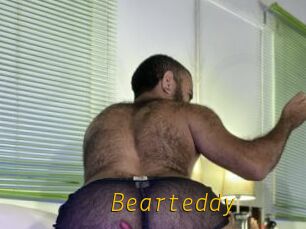 Bearteddy