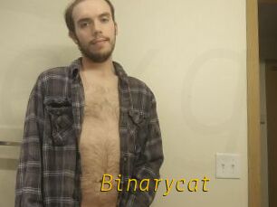 Binarycat