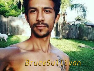 Bruce_Sullivan