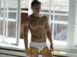 BucksBunny