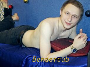 Bendercub