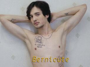 Bernicute