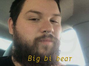 Big_bi_bear