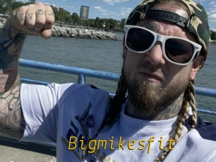 Bigmikesfit