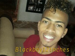 Blackboy12inches