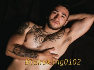 Blakeking0102