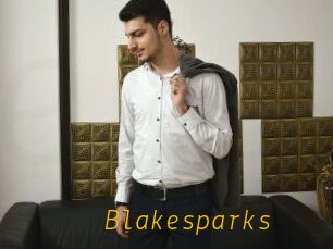 Blakesparks