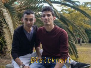 Bleicknort