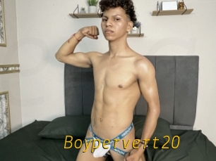 Boypervert20