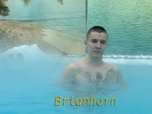 Brianhorn