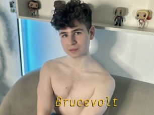 Brucevolt