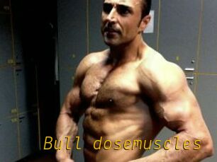 Bull_dosemuscles