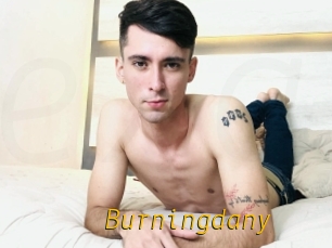 Burningdany