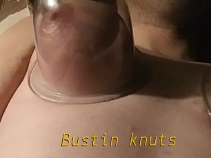 Bustin_knuts