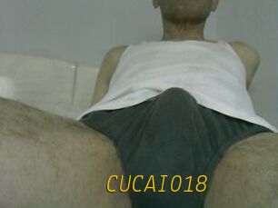 CUCAIO18