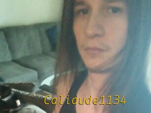 Calidude1134