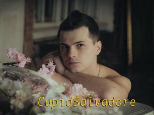 CupidSalvadore