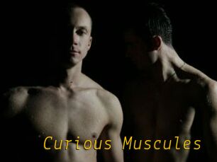 Curious_Muscules