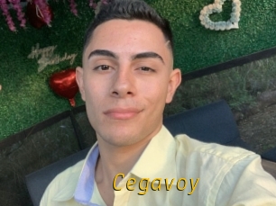 Cegavoy