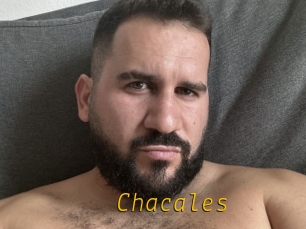 Chacales