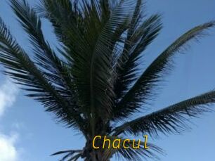 Chacul